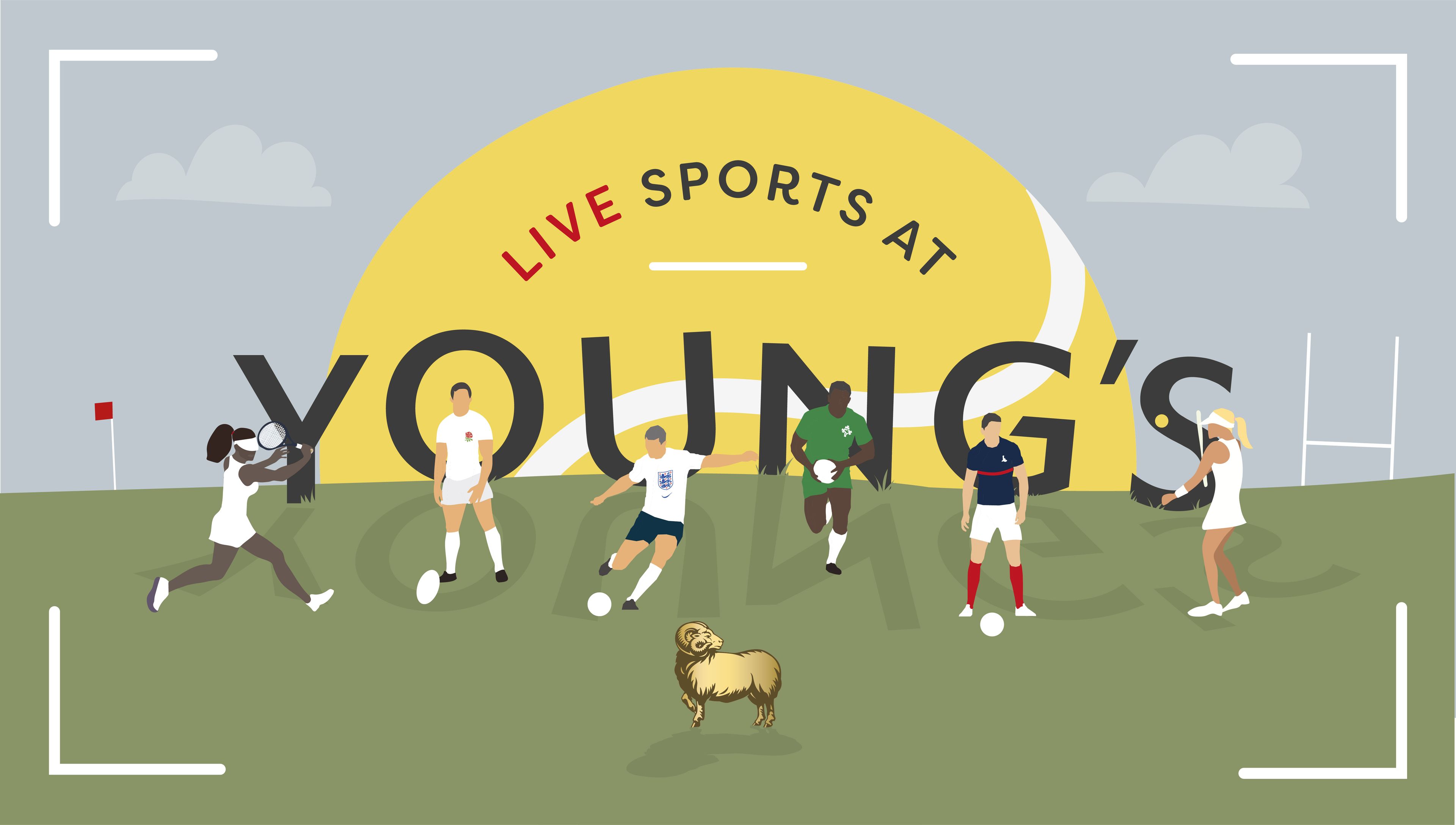 Watch live sport in pubs